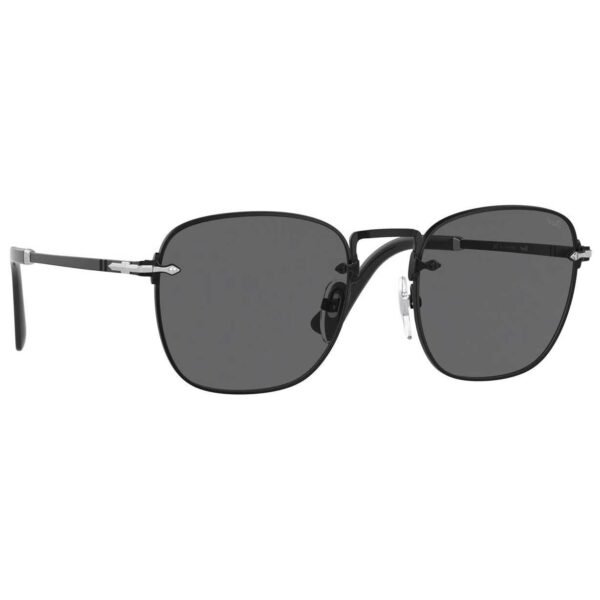 PO2490S1078B1