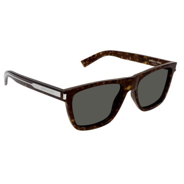 SL619-002